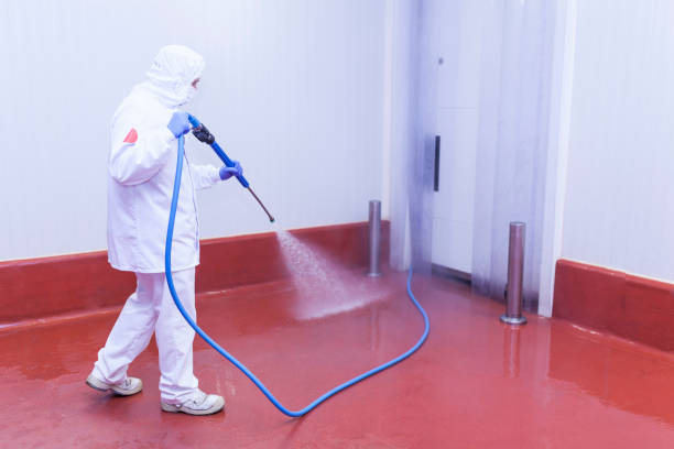 Best Spring Cleaning  in Orfordville, WI