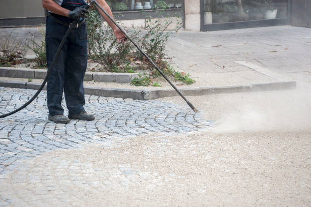 Best Sidewalk and Walkway Cleaning  in Orfordville, WI